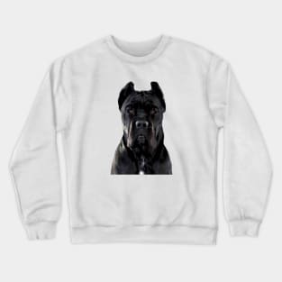 Cane Corso Dog Black Crewneck Sweatshirt